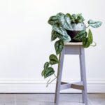 Florence small grey plant stand