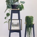 Set of wooden plant stands